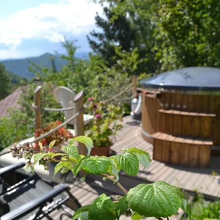 Sonnenberg *
